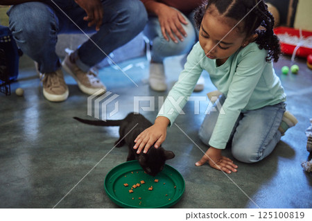 Child, girl or feeding kitten in pet shelter, adoption rescue or feline volunteer community clinic with health, wellness or development food. Kid, youth or animal care for cats in foster charity home Child, girl or feeding kitten in pet shelter, adoption rescue or feline volunteer community clinic with health, wellness or development food. Kid, youth or animal care for cats in foster charity home 125100819