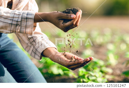 Farming, agriculture and farmer hands with soil for nutrients, healthy plants and growth. Sustainability, natural environment and worker check earth for planting vegetables, crops and organic produce 125101247