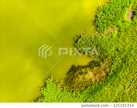 Aerial view, owergrown lake shore 125101354