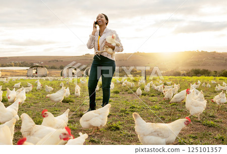 Black woman, chicken and phone call, farm and networking with contact, smile and happy communication outdoor. Farmer, happy and conversation on farming, small business and agriculture on smartphone 125101357