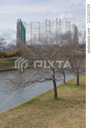Kurashiki River, Kawazu cherry blossoms in spring, Somei Yoshino cherry blossoms in bloom Kurashiki River, Kawazu cherry blossoms in spring, Somei Yoshino cherry blossoms in bloom 125102529