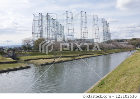Kurashiki River, Kawazu cherry blossoms in spring, Somei Yoshino cherry blossoms in bloom 125102530