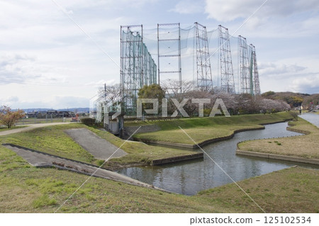 Kurashiki River, Kawazu cherry blossoms in spring, Somei Yoshino cherry blossoms in bloom 125102534