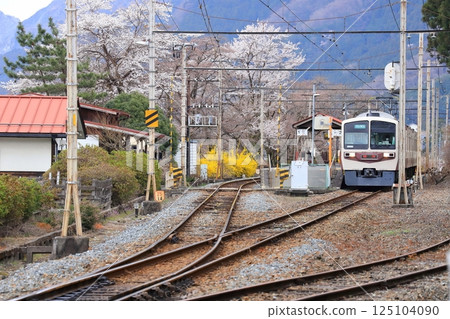 Chichibu Railway "Bushu Hino Station in spring with cherry blossoms in bloom and the express Chichibu line" 125104090