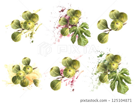 Figs tree branch set. Ripe, juicy whole fruit with leaves twigs on watercolor yellow, purple green stain spotted background. Food, plant clipart for card, jam label. Hand drawn illustration Isolated 125104871