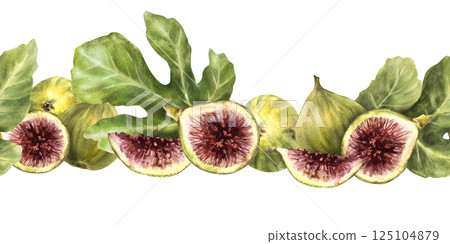 Green figs with leaves seamless border. Ripe whole and cut fruit. Food pattern, realistic plant repeating design. clipart for label, wallpaper Hand drawn watercolor illustration on isolated background 125104879