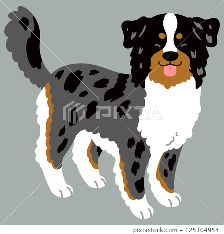 Simple and cute smiling Australian Shepherd, no main lines Simple and cute smiling Australian Shepherd, no main lines 125104953