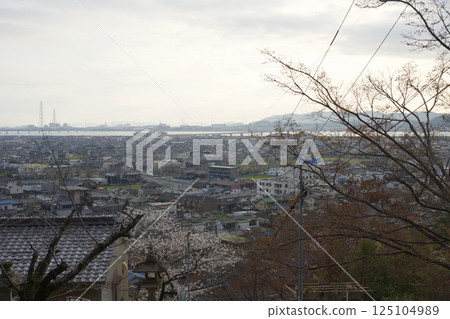 西浦、捆島的春天 - 櫻花季 - 鳩鳥神社 125104989