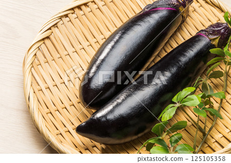 eggplant 125105358