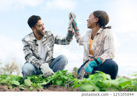 Farm, high five and man and woman celebrating farming success during harvest in a plantation garden. Multiracial, successful teamwork and celebration of agriculture or eco friendly farming 125105844