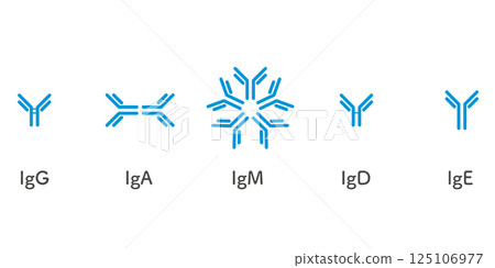 5種免疫球蛋白套裝/簡易版 125106977