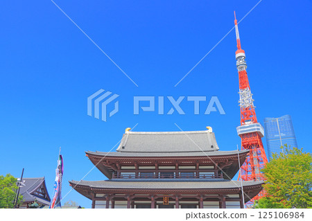 Scenery of Tokyo Tower and Zojoji Temple, Minato Ward, Tokyo 125106984