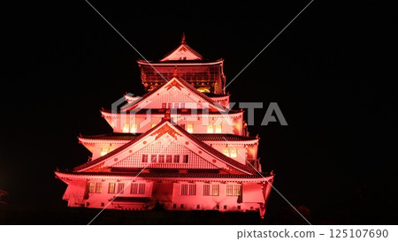 發光的日本城堡 125107690