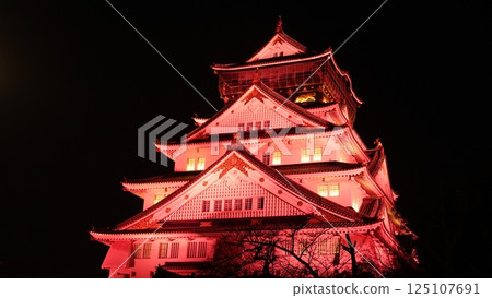 Illuminated Japanese castle 125107691