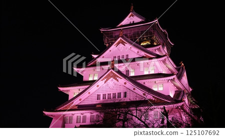 發光的日本城堡 125107692