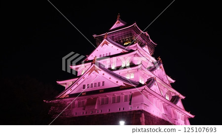 Illuminated Japanese castle 125107693