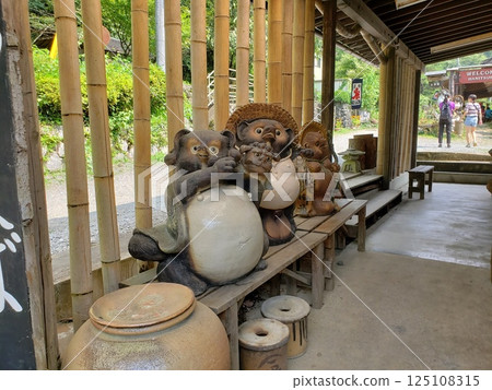 Raccoon ornament 125108315