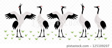 Cranebird, crane, avian, bird and animal, graphic design. Wildlife and nature, migration, ornithology, vector design and illustration 125109207