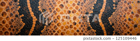 Detailed texture of reptile scales in orange black colors perfect for exotic wild animal background wildlife nature pattern concept 125109446