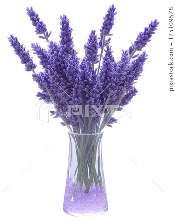 Lavender (Lavandula) slender, rectangular glass vase filled with purple-tinted water, holding a neatly arranged bundle of lavender stems, surrounded by 125109578