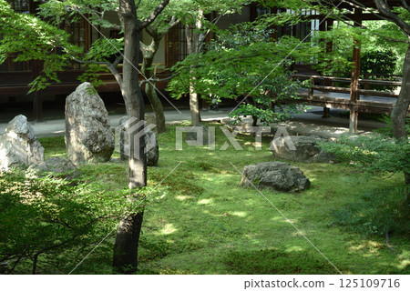 建仁寺院內:Choontei(京都市東山區) 建仁寺院內:Choontei(京都市東山區) 125109716