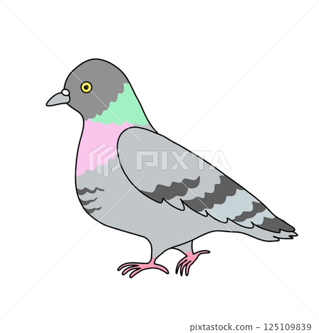 Vector illustration of a pigeon looking to the side 125109839