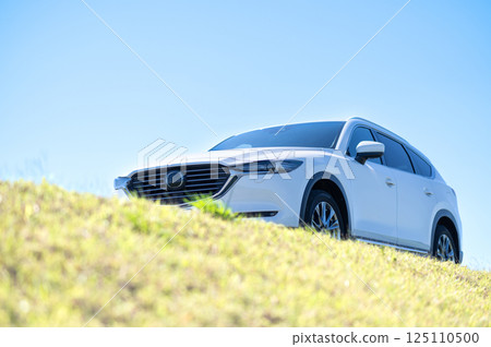 白色SUV型車 125110500