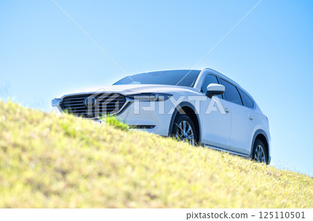 白色SUV型車 白色SUV型車 125110501