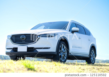 白色SUV型車 125110502
