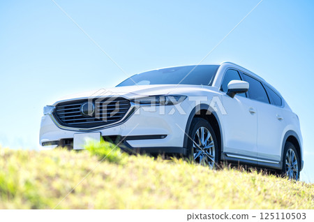 白色SUV型車 白色SUV型車 125110503