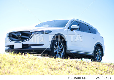 White SUV type car White SUV type car 125110505