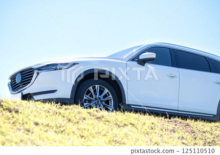White SUV type car White SUV type car 125110510