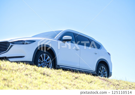 White SUV type car White SUV type car 125110514