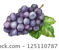Grapes with leaves 125110787