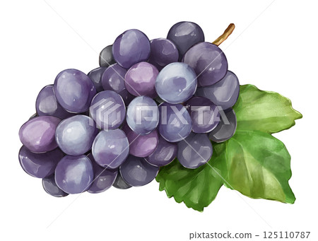 Grapes with leaves 125110787