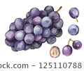 Grape  125110788