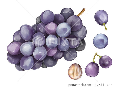 Grape  125110788