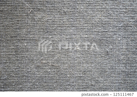 Dirty rug with cat hair and dust in rug. Dirty rug or carpet texture background. The concept of how to remove pet hair and dust in carpet. Dirty rug with cat hair and dust in rug. Dirty rug or carpet texture background. The concept of how to remove pet hair and dust in carpet. 125111467