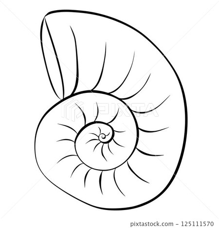 Nautilus shell illustration. Vector graphic line ink icon. isolated on transparent background for package, kitchen design, fabric and textile. 125111570