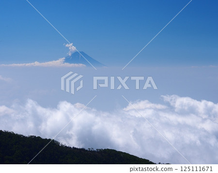 Mt. Fuji and the sea of clouds seen from Mt. Gongen in the Yatsugatake Mountains in summer 125111671