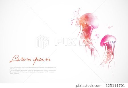 Ink painting of two pink jellyfishes on white and place for your text. Traditional oriental ink painting sumi-e, u-sin, go-hua. Ink painting of two pink jellyfishes on white and place for your text. Traditional oriental ink painting sumi-e, u-sin, go-hua. 125111701