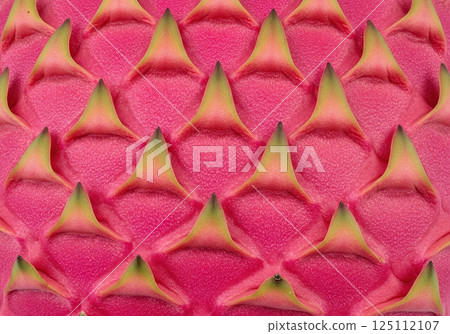 Detailed close-up of the textured pink and green outer skin of a vibrant dragon fruit Detailed close-up of the textured pink and green outer skin of a vibrant dragon fruit 125112107