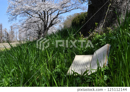 古籍文獻與櫻花_04 125112144