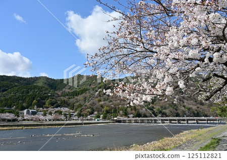 Togetsukyo Bridge and cherry blossom season in Arashiyama Togetsukyo Bridge and cherry blossom season in Arashiyama 125112821
