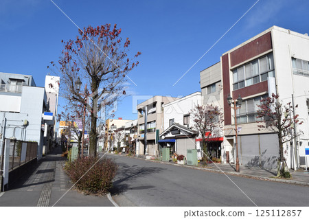 埼玉縣狹山市新狹山站北口週邊街道 埼玉縣狹山市新狹山站北口週邊街道 125112857