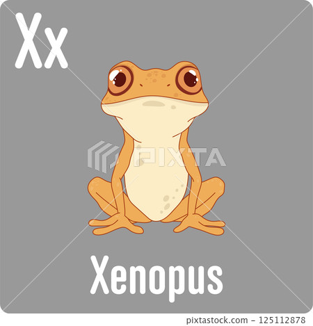 Cartoon illustration of a Xenopus frog with the letter X in the corner, a visual learning aid for children's alphabets. Cartoon illustration of a Xenopus frog with the letter X in the corner, a visual learning aid for children's alphabets. 125112878