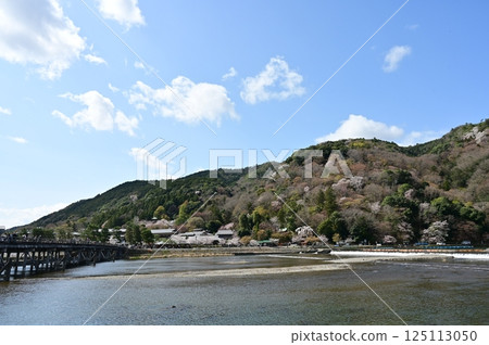 Togetsukyo Bridge and cherry blossom-filled mountain in Arashiyama 125113050