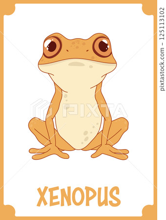 A cartoon depiction of a Xenopus frog, showcasing its distinctive features in a simplified, stylized manner with warm earth tones. 125113102