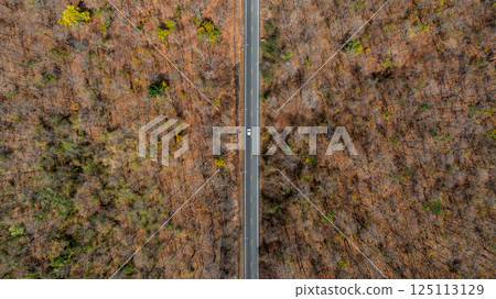 Asphalt road in the middle of the forest, Road through the forest car drive on the road between forest, Ecosystem ecology environment, Aerial view. Asphalt road in the middle of the forest, Road through the forest car drive on the road between forest, Ecosystem ecology environment, Aerial view. 125113129