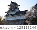 Toyama castle and cherry blossoms 125113144